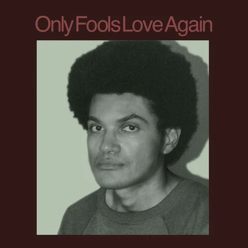 AYALA,DANNY - ONLY FOOLS LOVE AGAIN Vinyl LP