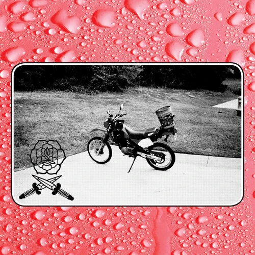 BASS DRUM OF DEATH - SAY I WON'T Vinyl LP