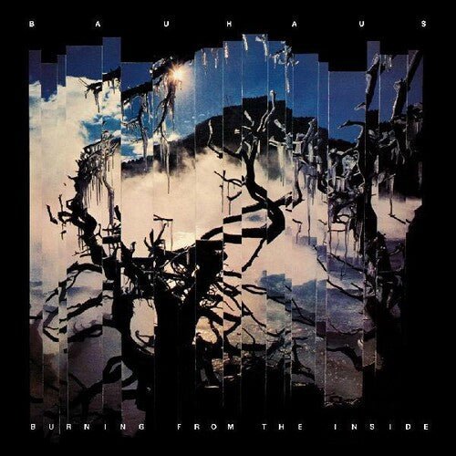 BAUHAUS - BURNING FROM THE INSIDE Vinyl LP - Image 2