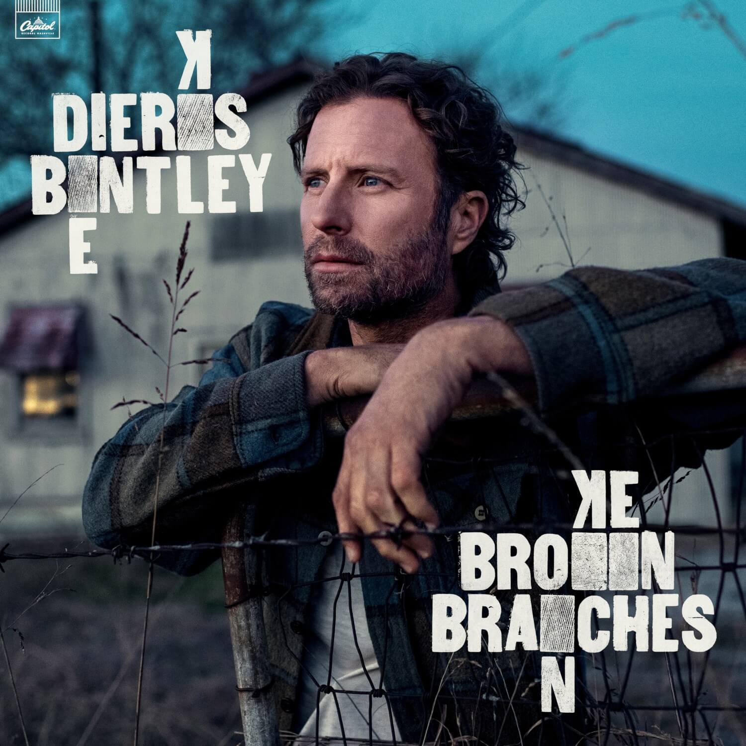 BENTLEY,DIERKS - BROKEN BRANCHES Vinyl LP - Image 2