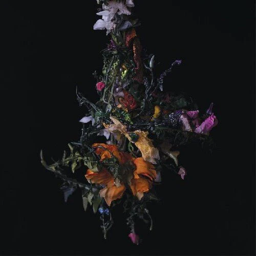 BIG/BRAVE - NATURE MORTE Vinyl LP