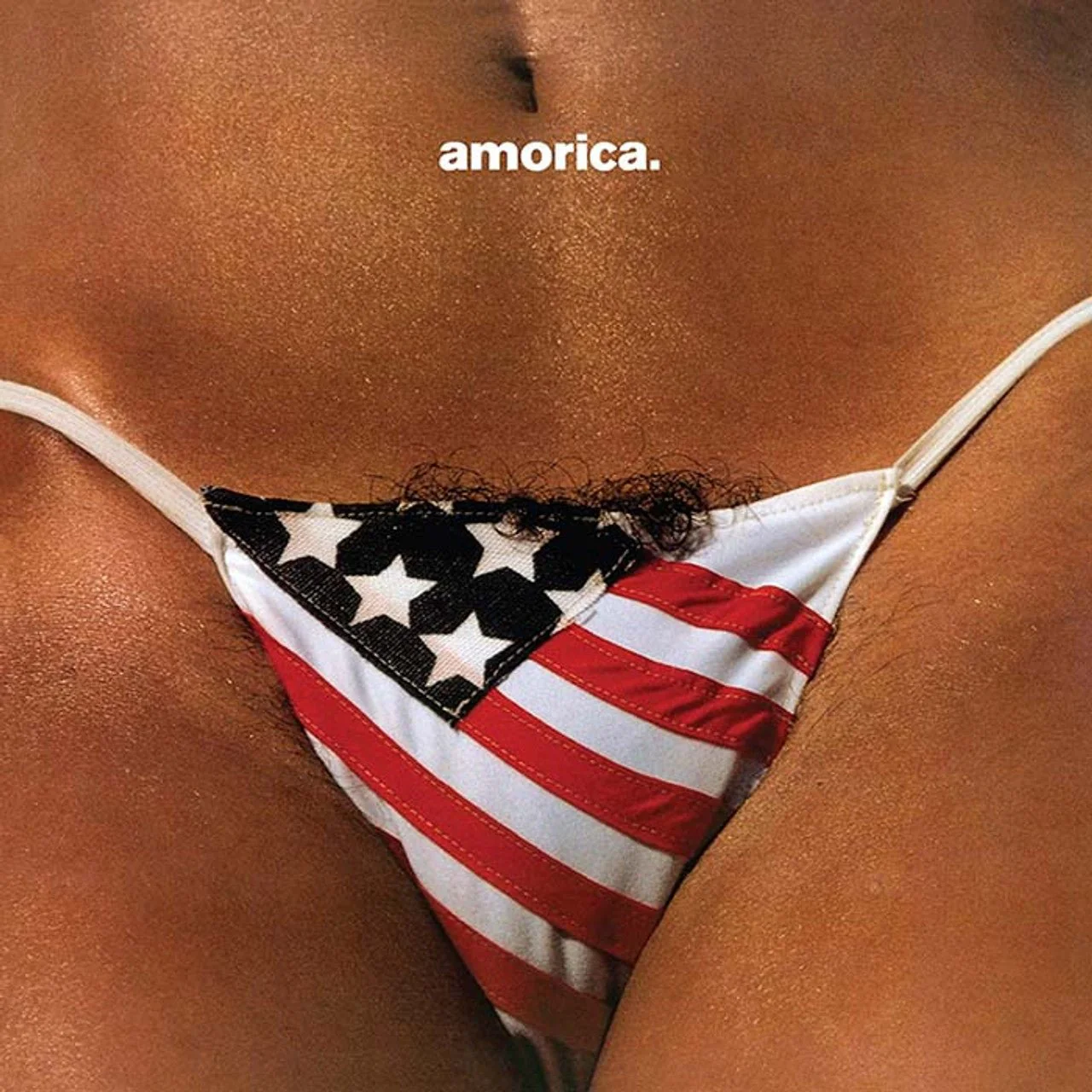 BLACK CROWES - AMORICA Vinyl LP - Image 2