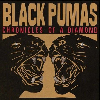 BLACK PUMAS - CHRONICLES OF A DIAMOND Vinyl LP - Image 2