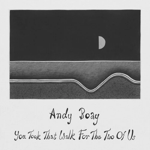 BOAY,ANDY - YOU TOOK THAT WALK FOR THE TWO OF US Vinyl LP