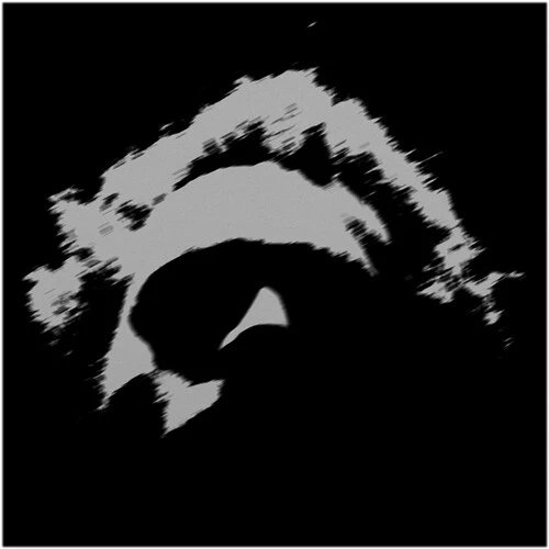 BOOKER,BENJAMIN - LOWER Vinyl LP