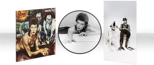 BOWIE,DAVID - DIAMOND DOGS (50TH ANNIVERSARY PICTURE DISC) Vinyl LP - Image 2