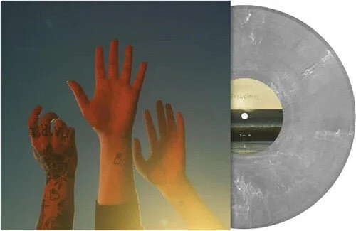 BOYGENIUS - RECORD Vinyl LP - Image 2