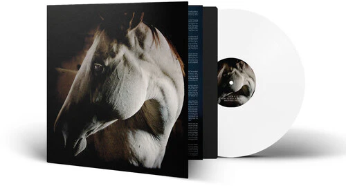 BROTHER DEGE - HOW TO KILL A HORSE Vinyl LP