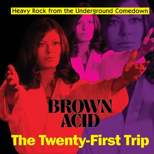 BROWN ACID - THE TWENTY-FIRST TRIP / VARIOUS Vinyl LP