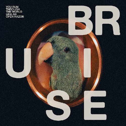 BRUISE BLOOD - YOU RUN THROUGH THE WORLD LIKE AN OPEN RAZOR Vinyl LP