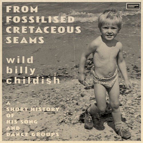 CHILDISH,BILLY - FROM FOSSILISED CRETACEOUS SEAMS: A SHORT HISTORY Vinyl LP - Image 2