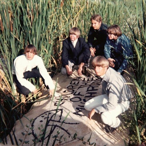 CHILDREN OF THE MUSHROOM Vinyl LP
