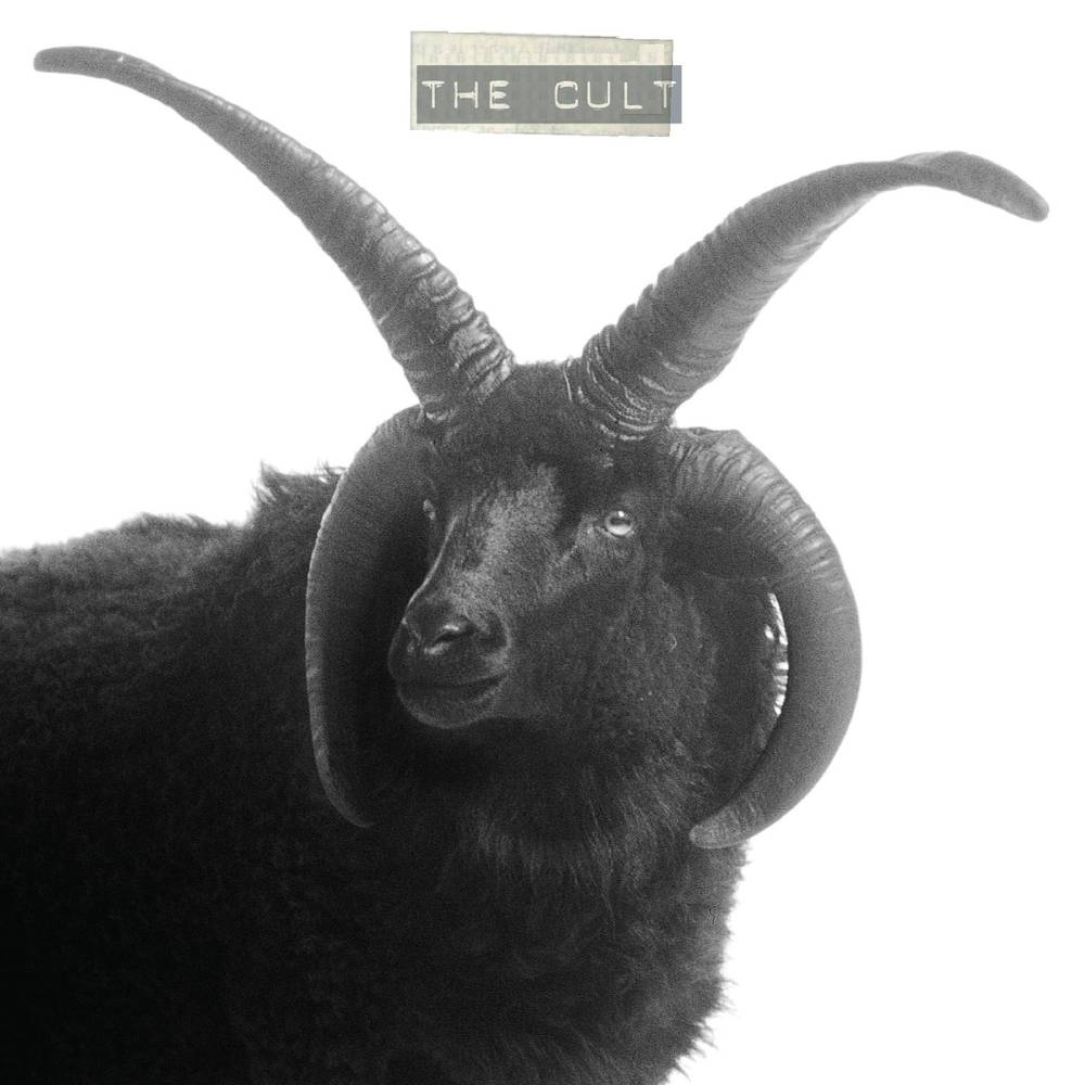 CULT Vinyl LP - Image 2