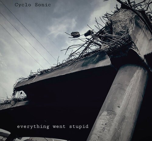 CYCLO-SONIC - EVERYTHING WENT STUPID Vinyl LP