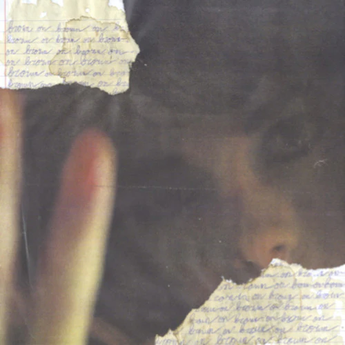 DADS - BROWN ON BROWN Vinyl LP