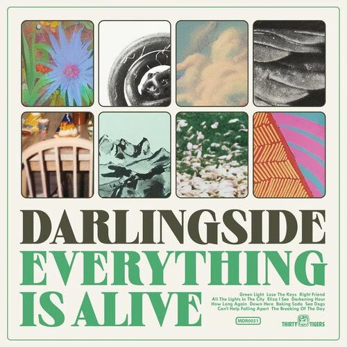 DARLINGSIDE - EVERYTHING IS ALIVE Vinyl LP