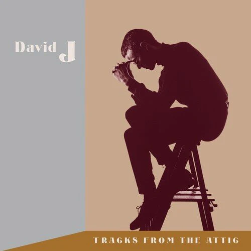 DAVID J - TRACKS FROM THE ATTIC Vinyl LP