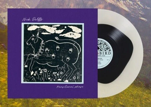 DELFFS,NICK - TRANSITIONAL PHASE Vinyl LP