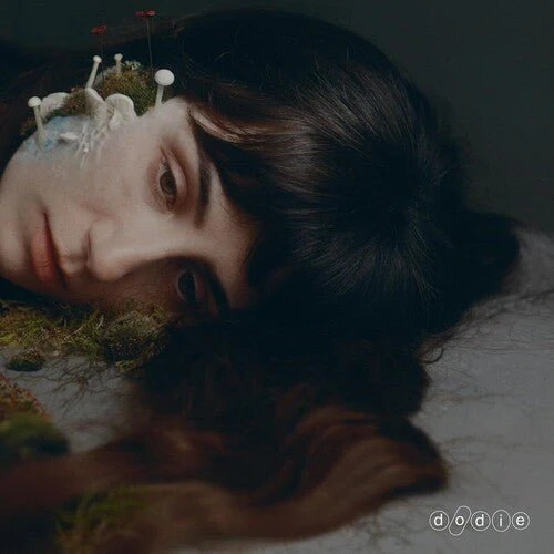 DODIE - NOT FOR LACK OF TRYING Vinyl LP