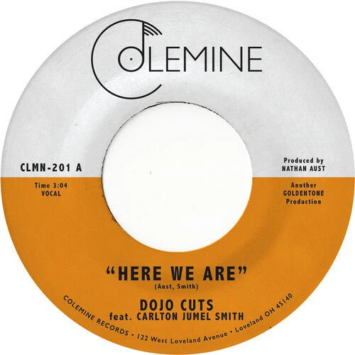 DOJO CUTS - HERE WE ARE (COKE BOTTLE CLEAR) Vinyl LP - Image 2