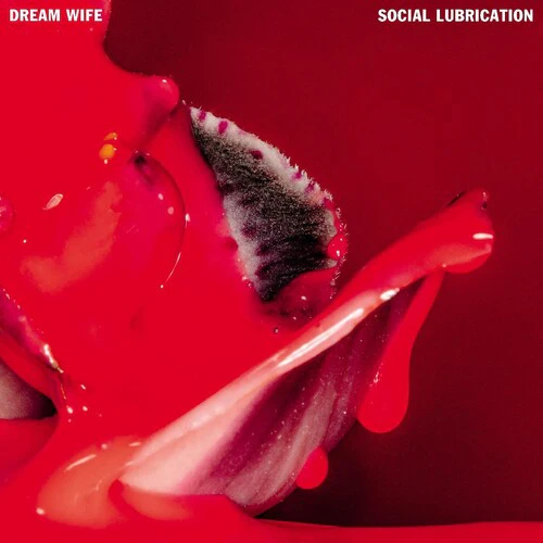 DREAM WIFE - SOCIAL LUBRICATION Vinyl LP