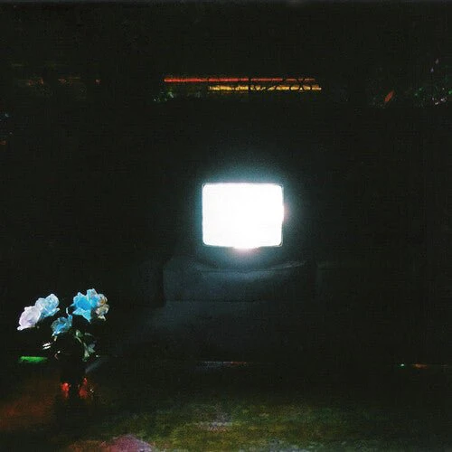 EMERALDS - DOES IT LOOK LIKE I'M HERE? - ECTOPLASM Vinyl LP