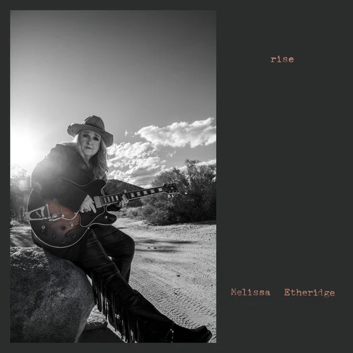 ETHERIDGE,MELISSA - RISE Vinyl LP - Image 2