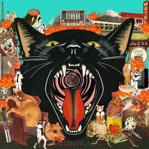 FANTASTIC CAT - CAT OUT OF HELL Vinyl LP