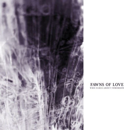 FAWNS OF LOVE - WHO CARES ABOUT TOMORROW Vinyl LP