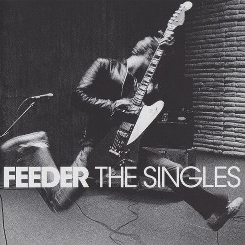 FEEDER - SINGLES Vinyl LP