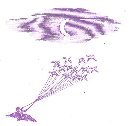 FEELING FIGURES - MIGRATION MAGIC Vinyl LP