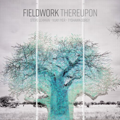 FIELDWORK - THEREUPON Vinyl LP
