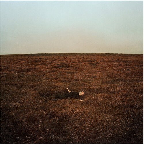 FINK - CITY IS COMING TO ERASE IT ALL Vinyl LP - Image 2