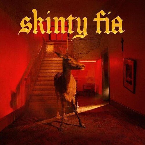 FONTAINES D.C. - SKINTY FIA Vinyl LP - Image 3
