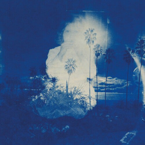 FRUIT BATS - RIVER RUNNING TO YOUR HEART Vinyl LP