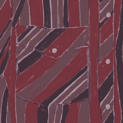 FUSSELL,JAKE XERXES - REBUILDING Vinyl LP