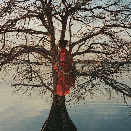 GATLIN - ELDEST DAUGHTER Vinyl LP