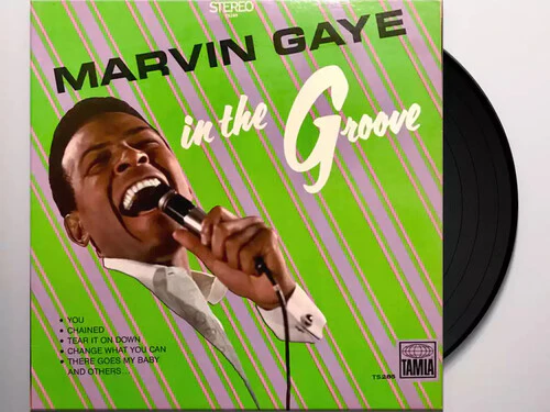 GAYE,MARVIN - IN THE GROOVE Vinyl LP