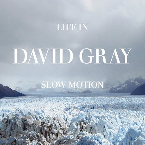 GRAY,DAVID - LIFE IN SLOW MOTION (20TH ANNIVERSARY EDITION) Vinyl LP