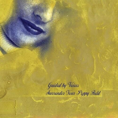 GUIDED BY VOICES - SURRENDER YOUR POPPY FIELD Vinyl LP