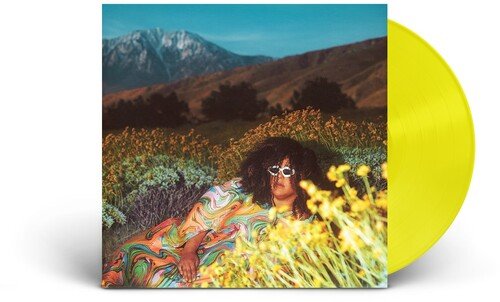 HOWARD,BRITTANY - WHAT NOW Vinyl LP