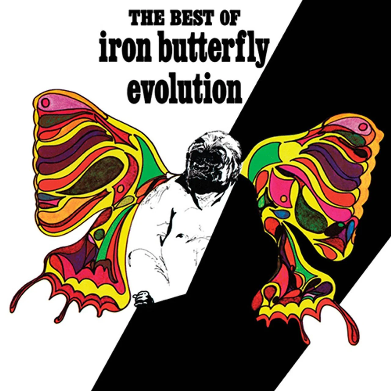 IRON BUTTERFLY - THE BEST OF IRON BUTTERFLY - EVOLUTION 180 GRAM METALLIC SILVER Vinyl LP - Image 2