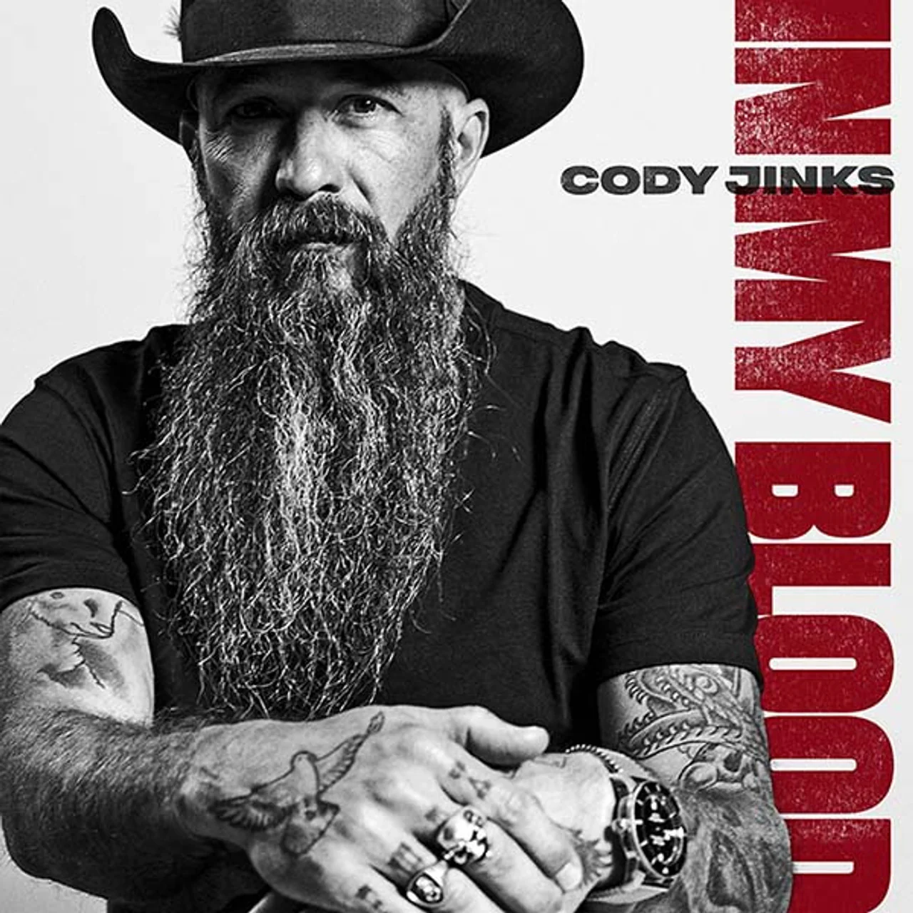JINKS,CODY - IN MY BLOOD Vinyl LP - Image 2