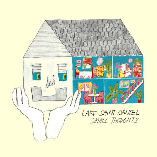 LAKE SAINT DANIEL - SMALL THOUGHTS Vinyl LP - Image 2