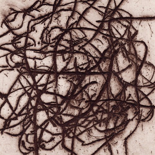 LEIMER,K. / BARRECA,MARC - ARRHYTHMIAN Vinyl LP