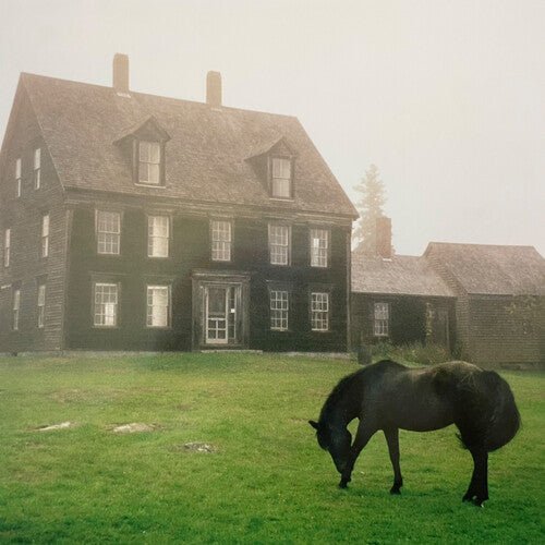LUTALO - ACADEMY - MEADOW GREEN Vinyl LP