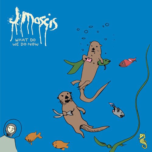 MASCIS,J - WHAT DO WE DO NOW Vinyl LP