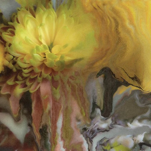 MILLSAP,PARKER - WILDERNESS WITHIN YOU Vinyl LP