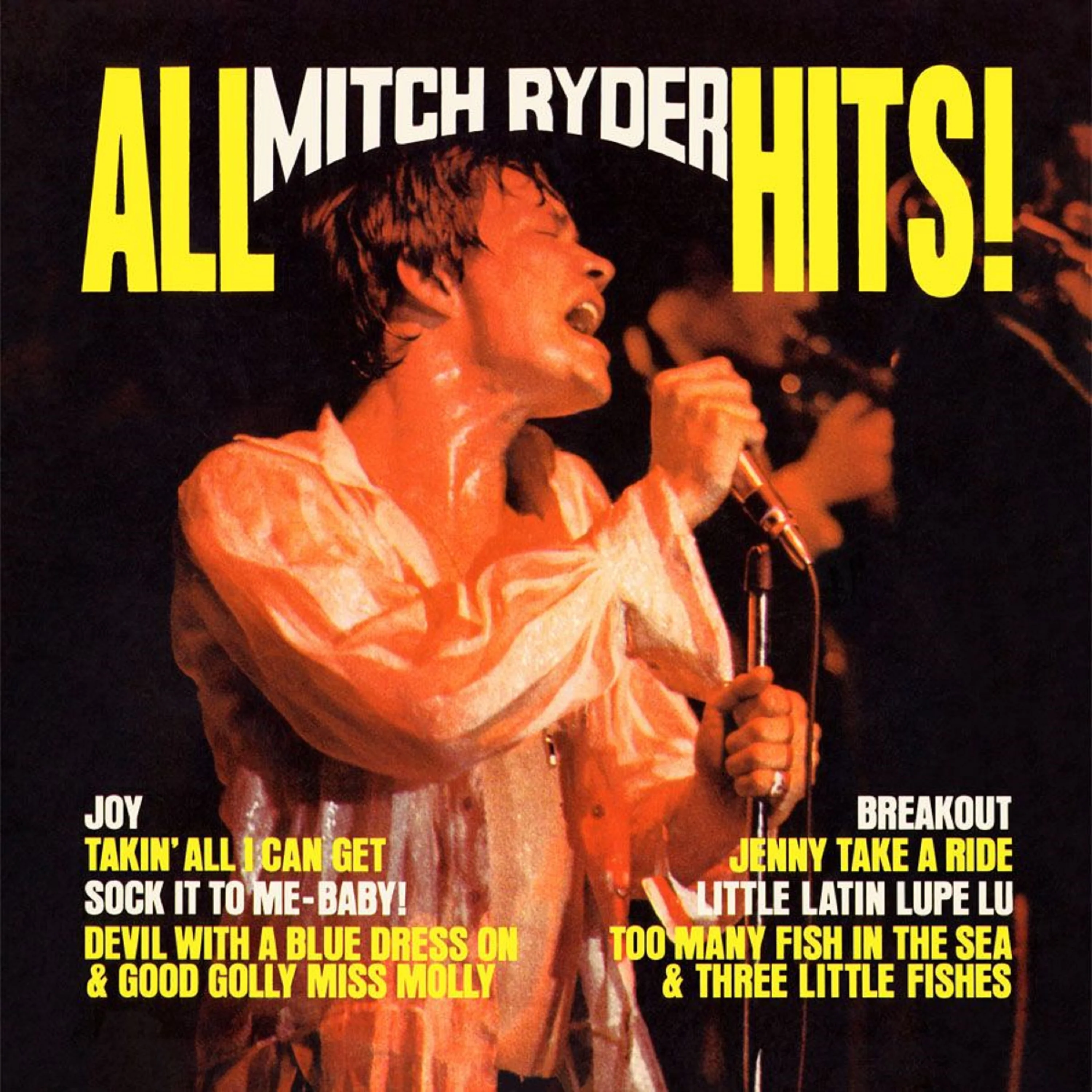 MITCH RYDER & THE DETROIT WHEELS - ALL MITCH RYDER HITS - ORIGINAL NEW VOICE RECORDINGS 180 GRAM Vinyl LP - Image 2