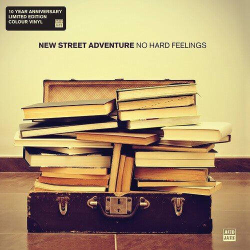 NEW STREET ADVENTURE - NO HARD FEELINGS Vinyl LP